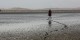 Tanzanie - 2010-09 - 062 - Lac Natron